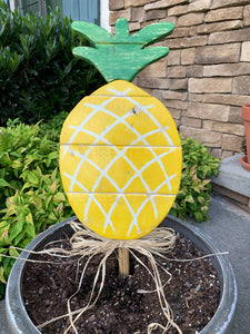 Outdoor Pineapple