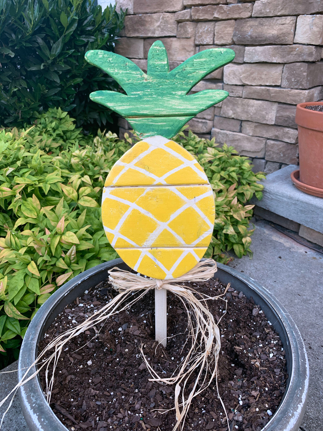Mini Outdoor Pineapple