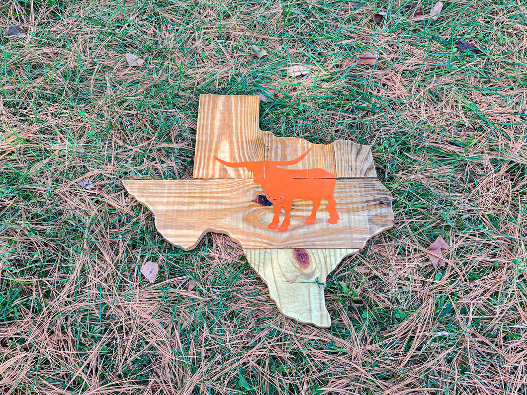 Natural Rustic Longhorn Texas