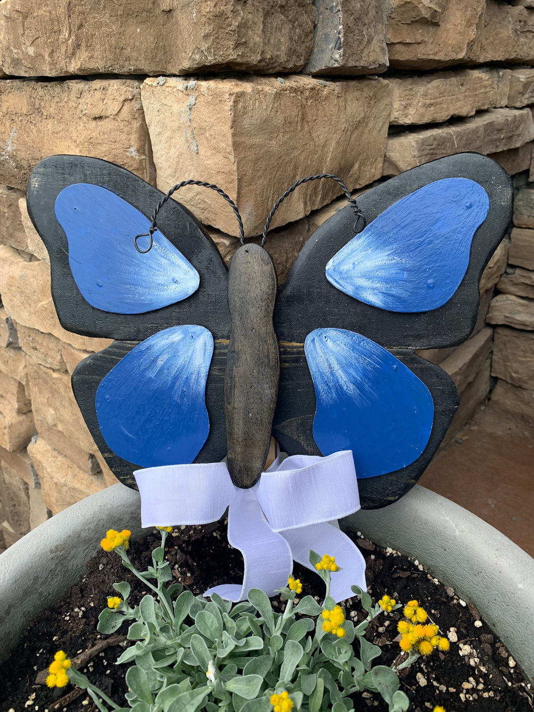 **Pre Order Outdoor Blue Butterfly