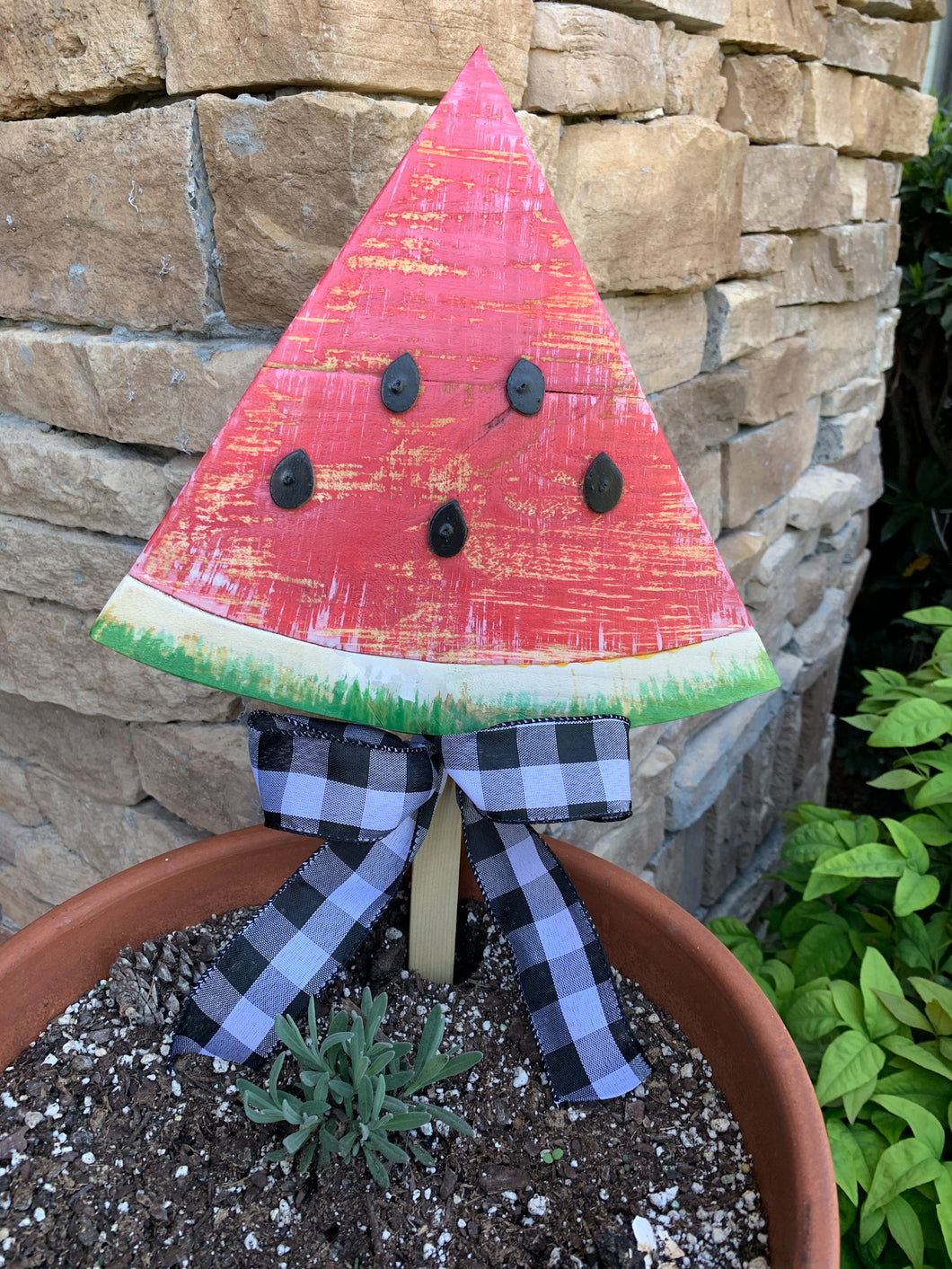 Outdoor Watermelon